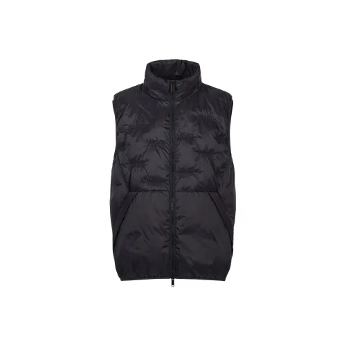 Цвет айсберга, черный, мужские жилеты