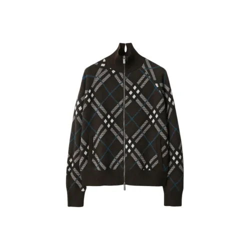 Burberry Коричневый Мужской Куртки