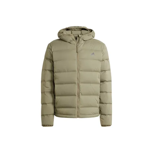 Adidas Helionic Эластичный С капюшоном Пуховик Пуховик Мужской Оливково-зеленый