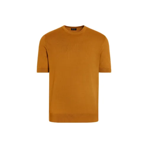 Ermenegildo Zegna Охра Мужская T-рубашка