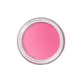 #4 Пион Клубничный Сыры