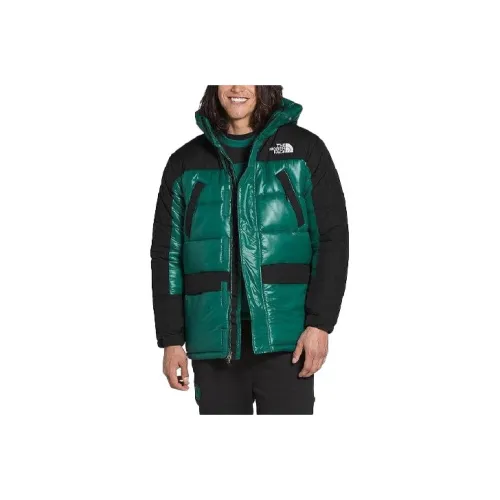 The North Face Зеленый Унисекс Объемные куртки (пуховики)