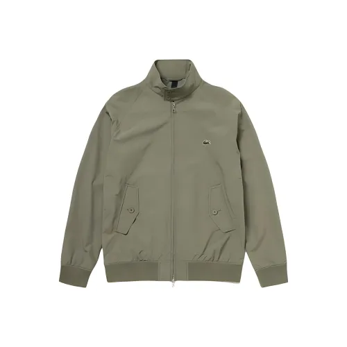 LACOSTE Куртки и Пальто Мужской Хаки Оливковый