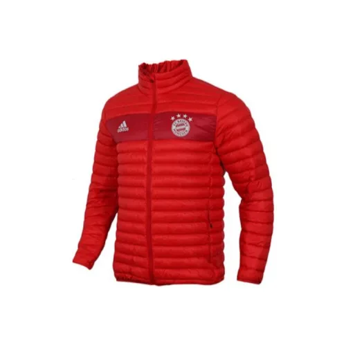Adidas Red Men's Down Jackets Adidas Красный Мужской Пуховик