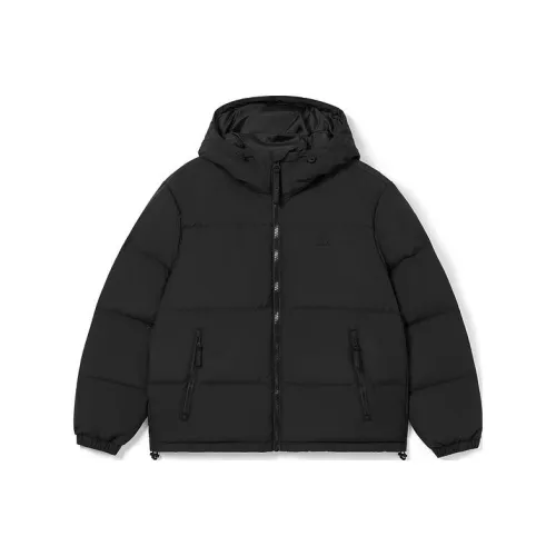 LACOSTE Collaboration Черный Мужской Пуховик