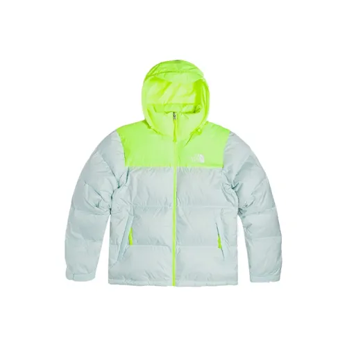 THE NORTH FACE 1996 Collection Ретро Nuptse Куртка Down Jacket Мужская Серый Зеленый