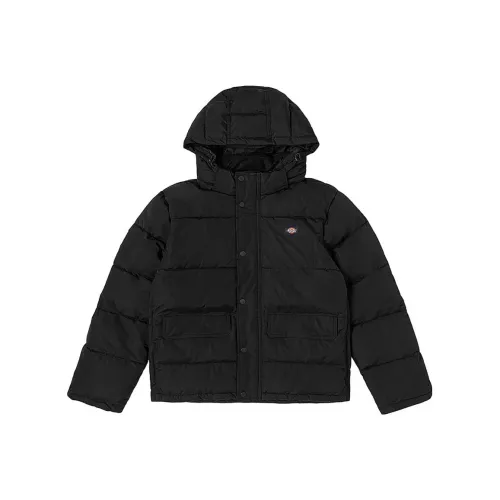 Dickies Серый/CF8 Унисекс Объемные куртки (пуфы)