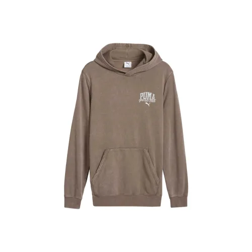 PUMA Коричневый Мужской Свитшот