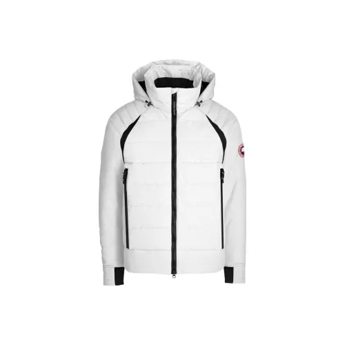 Canada Goose Wyndham series FW22 Мужской пуховик белый