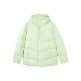 Светло-зеленый цвет травы/01YW