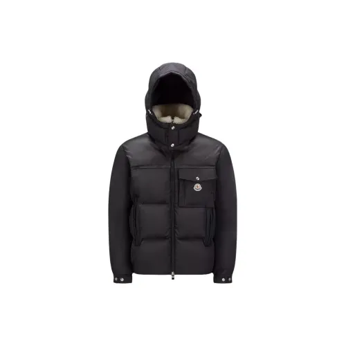 Moncler Черный Мужской Пуховик