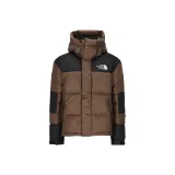 Темно-коричневый