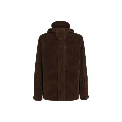 Ermenegildo Zegna Умбра Мужские Куртки
