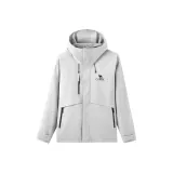 Ледниково-серый