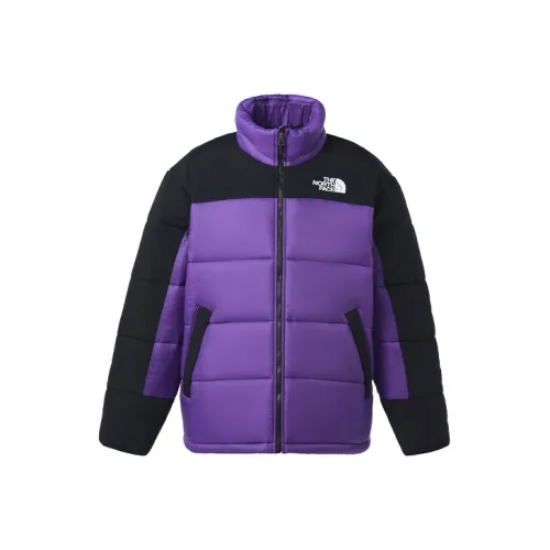The North Face Пуховик Мужской Фиолетовый