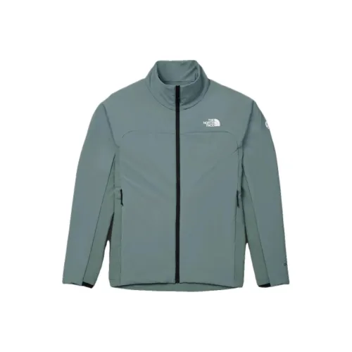 The North Face Серый Синий Мужские Куртки
