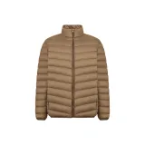 Верблюжий цвет