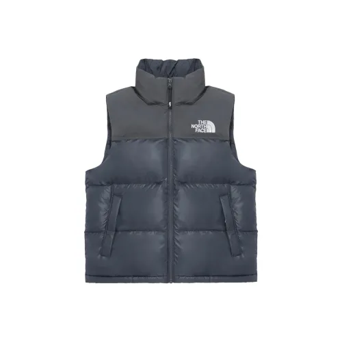 THE NORTH FACE Жилет Мужской Темно-Серый