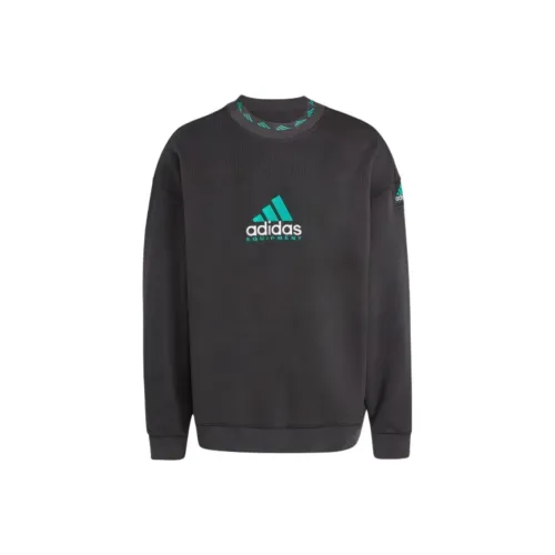 Adidas EQUIPMENT Series FW24 Толстовка Мужской Черный