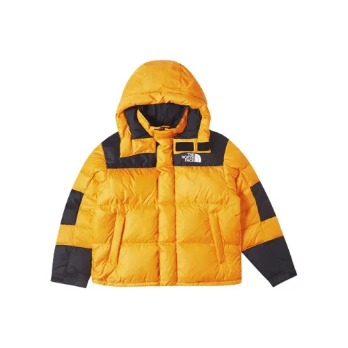 THE NORTH FACE Urban Exploration Пуховик Мужской