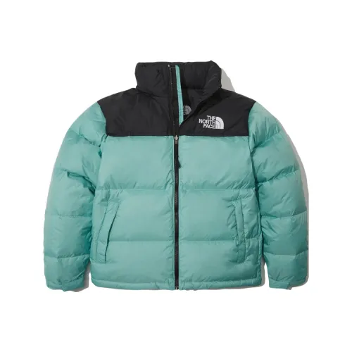 THE NORTH FACE 1996 Collection Пуховик Зимний Мужской Мятный
