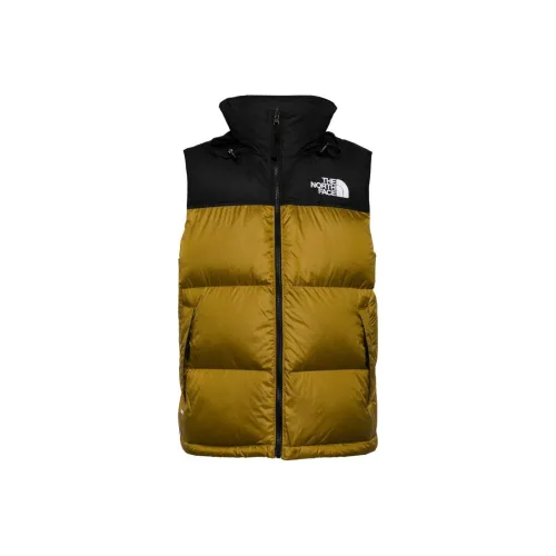 THE NORTH FACE Жилет Мужской Многоцветный
