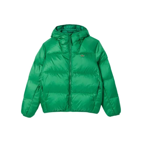 LACOSTE Пуховик Мужской Зеленый