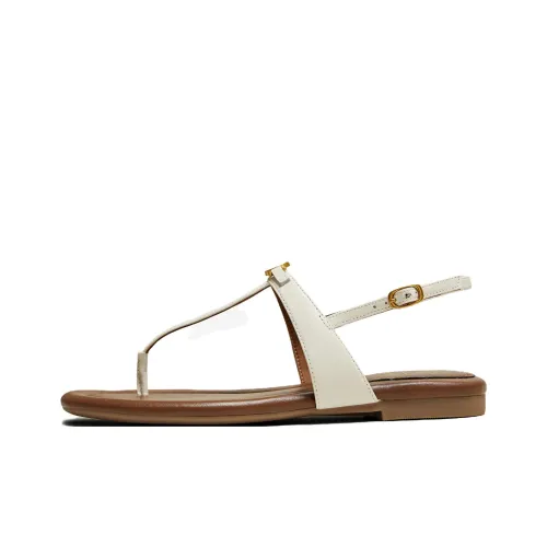 TATA Afternoon Manor One Ремень Сандалии Женские