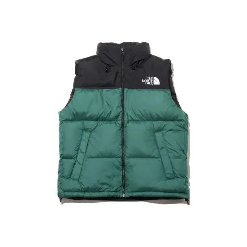 THE NORTH FACE Жилет Мужской Зеленый