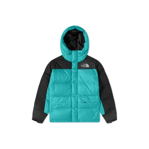 THE NORTH FACE HIMALAYAN Пуховик Мужской Синий