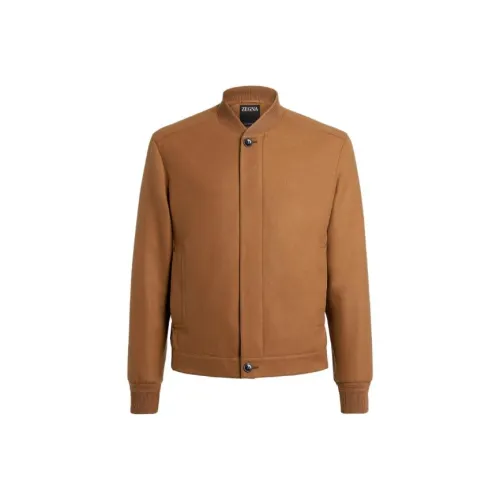 Ermenegildo Zegna Коричневые Мужские Куртки