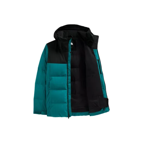 The North Face Черный Зеленый Мужской Пуховик