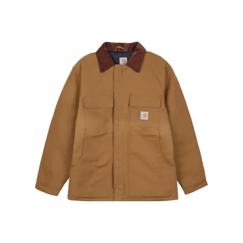 Carhartt Мужские пуховики