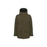 Цвет кустарника