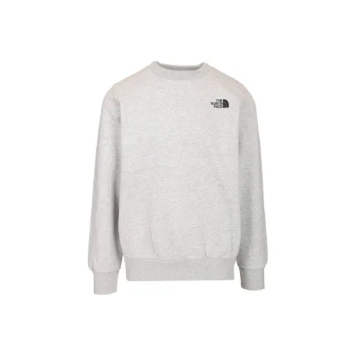 THE NORTH FACE SS25 Толстовка Мужской Светло-Серый