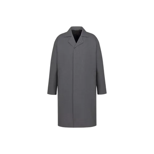 DIOR Серый Мужской Пальто