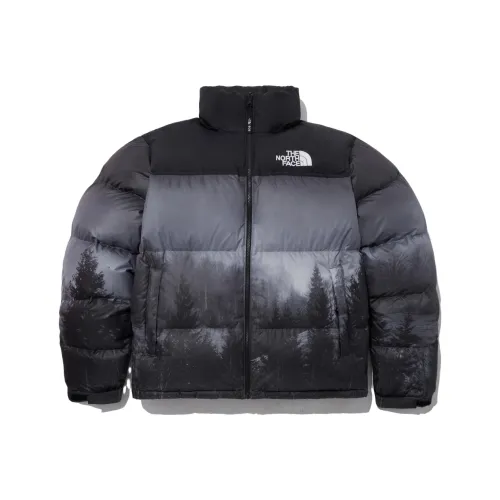 THE NORTH FACE 1996 Collection FW23 Пуховик Унисекс Черный