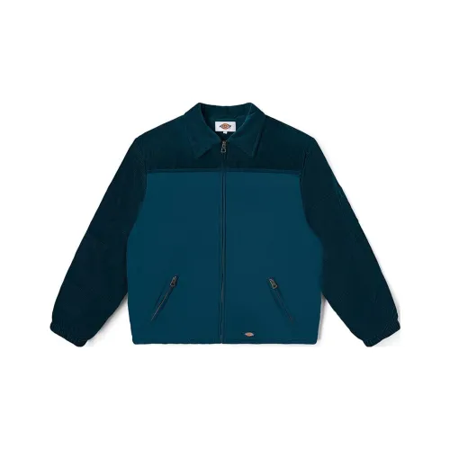 Dickies Унисекс Пуховики