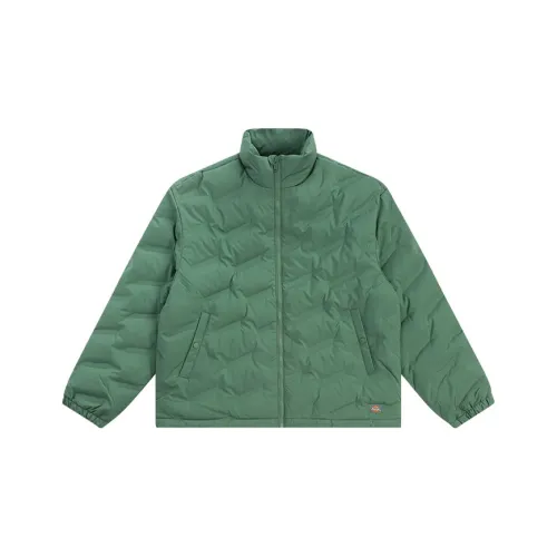 Dickies FW22 Пуховик Мужской Яшма