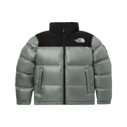 The North Face Куртка Унисекс Зеленая