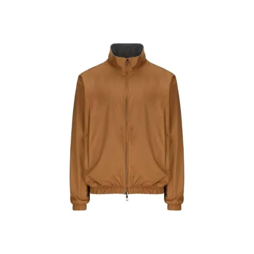 Loro Piana Коричневый Мужской Куртки