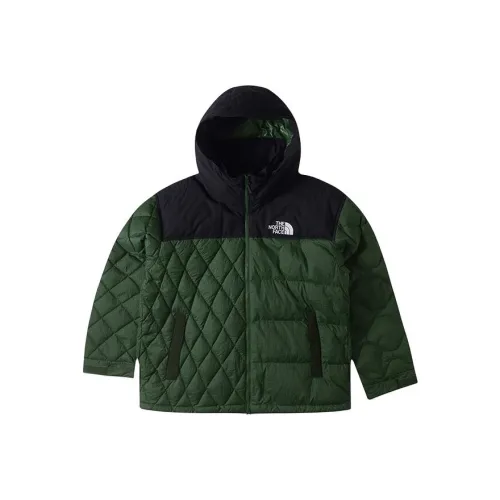 THE NORTH FACE Urban Exploration Пуховик Мужской Зеленый