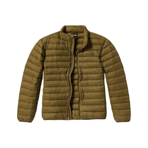 THE NORTH FACE Urban Exploration Пуховик Мужской Зеленый