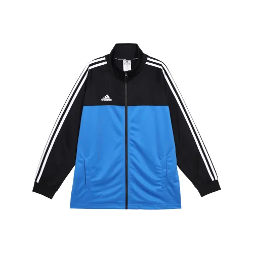 Adidas Чёрно-синяя Пэчворк Унисекс Куртка