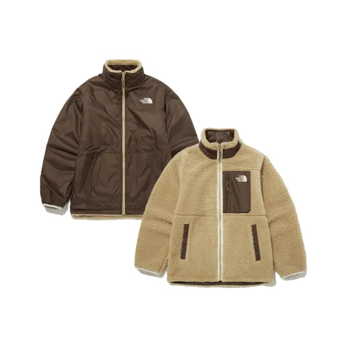 The North Face Коричневый Мужской Бархатные Куртки