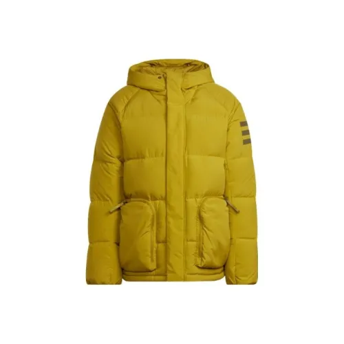 Adidas Down Jacket Men's Pulse Olive Green