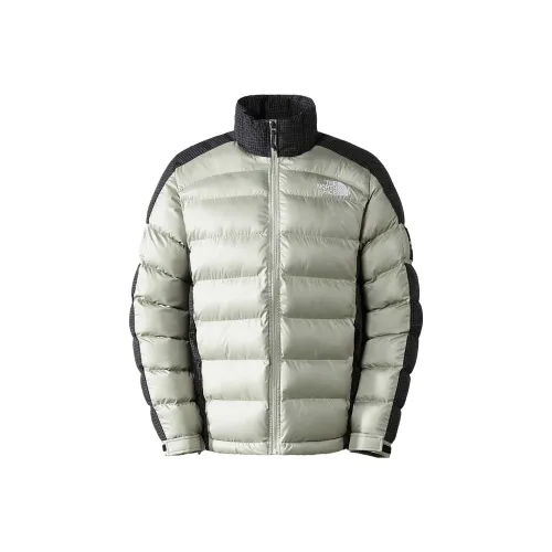 The North Face Серый Зеленый Мужской Пуховик