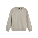 Пыльно-серый