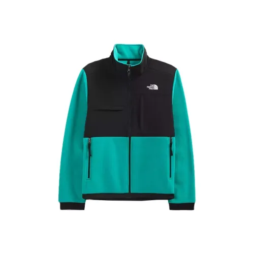 THE NORTH FACE DENALI Зеленый Мужской Бархатные Куртки