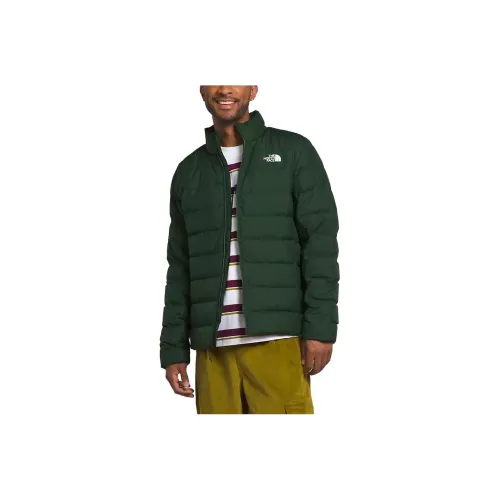 THE NORTH FACE Куртки и Пальто Мужской Зеленый